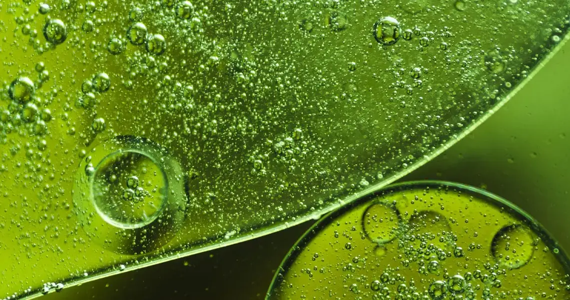 U.F.O Face Oil Fruit Seed Oils