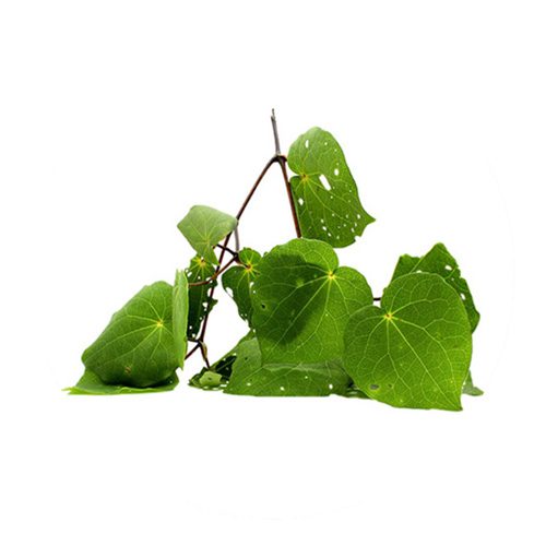 Where Kawakawa Grows Where Kawakawa Grows