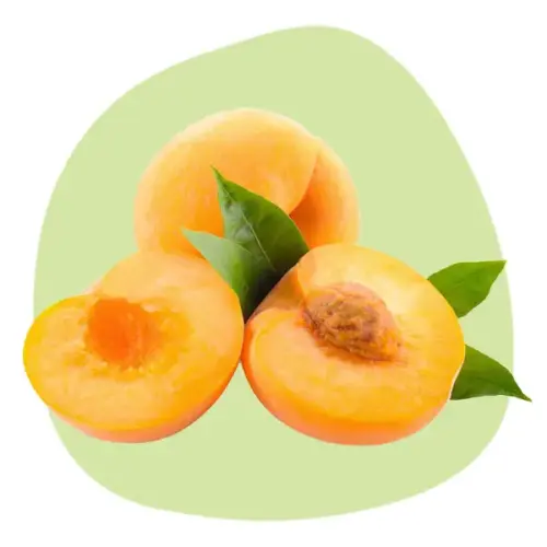 Apricot Kernel Oil
