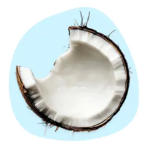 Coconut Oil Coconut Oil