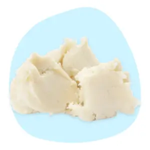Mango Butter Mango Butter