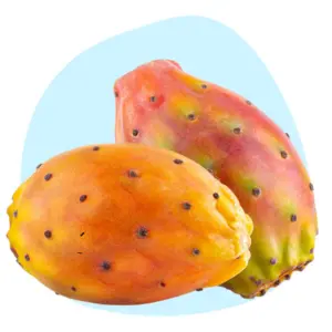 Prickly Pear Seed Oil Prickly Pear Seed Oil