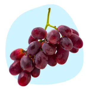 Grapeseed Oil Grapeseed Oil