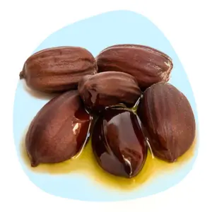 Jojoba Jojoba