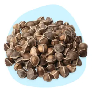 Moringa Seed Oil Moringa Seed Oil