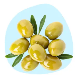 Olive Squalane Olive Squalane