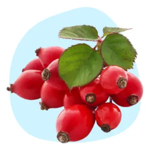Rosehip Seed Oil Rosehip Seed Oil