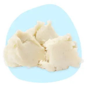 Shea Butter Shea Butter