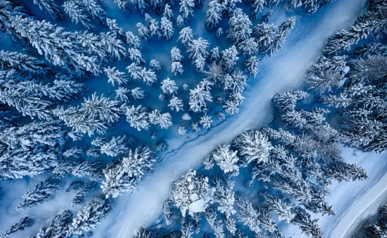 Winter Proof Your Face