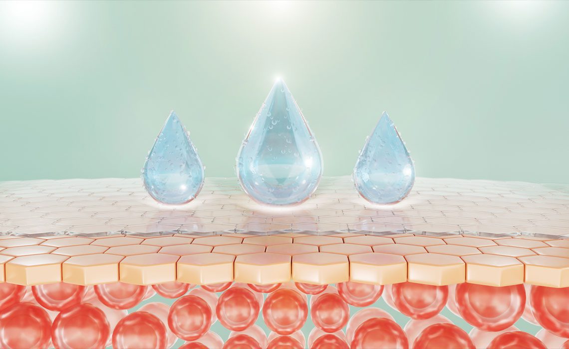 Understanding the Skin Barrier